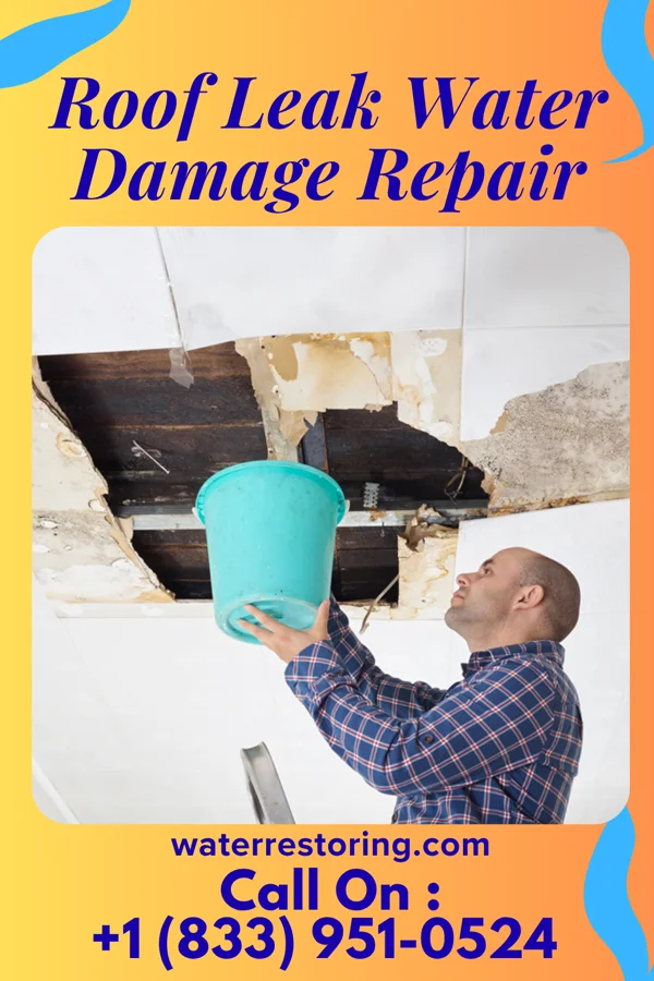 Roof Leak Water Damage Repair in East Peoria, IL
